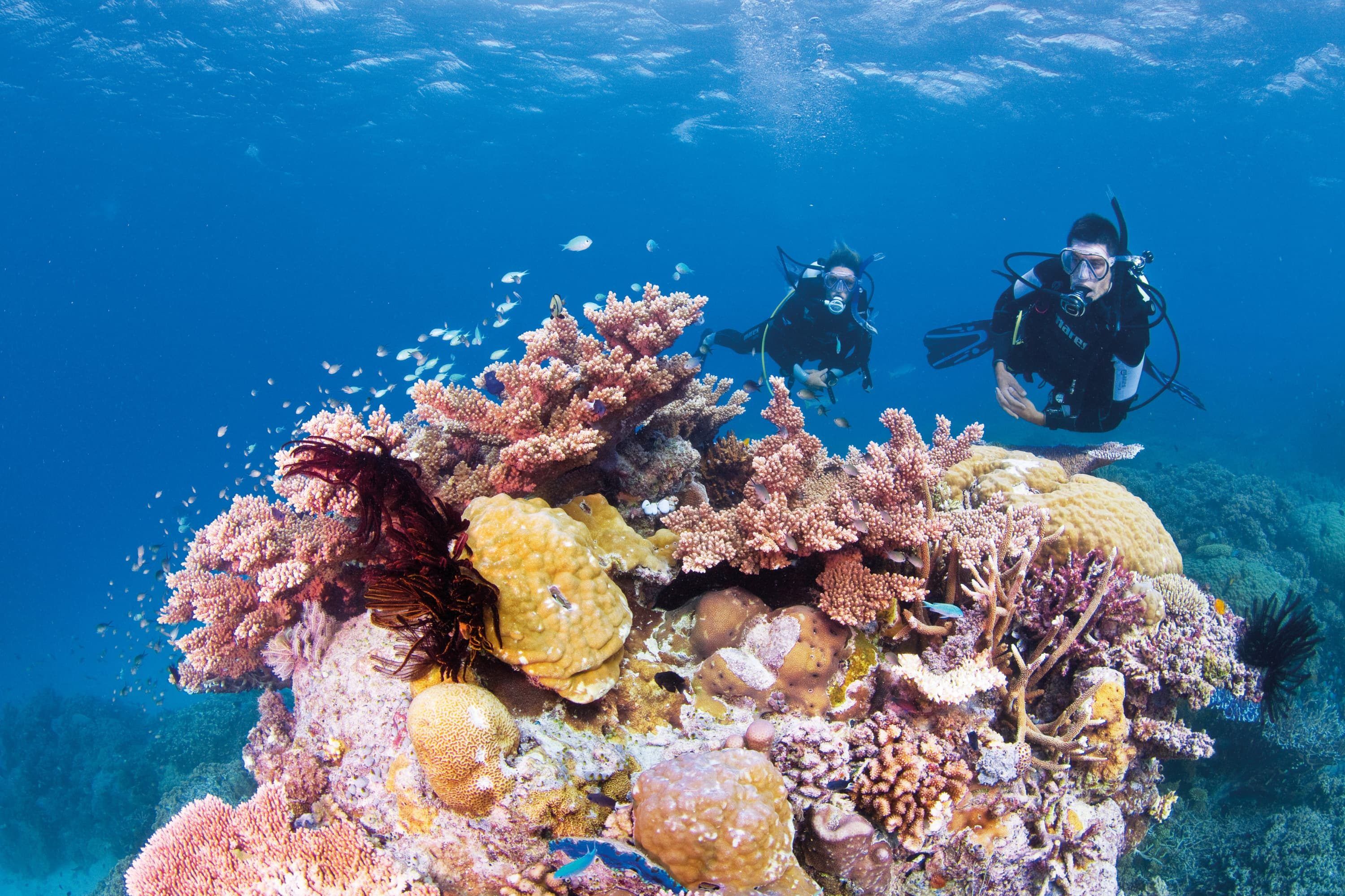 The Great Barrier Reef, Queensland, Australia | Nimrod Resort